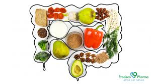 Alimentos probióticos y prebióticos para mejorar la salud intestinal: kimchi, chucrut, ajo y kéfir