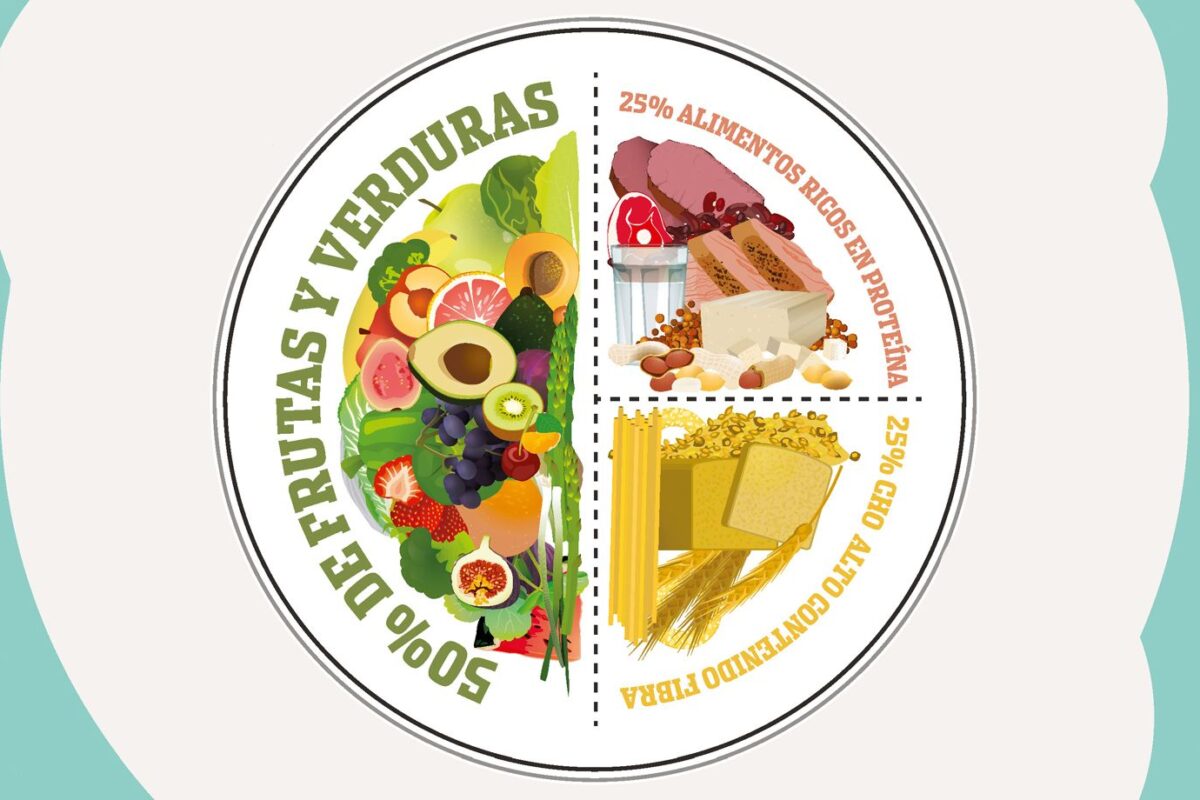 Macros para boxeadores: guía completa de proteínas, carbohidratos y grasas