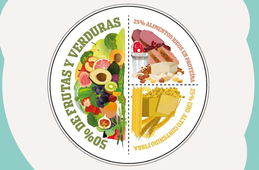 Macros para boxeadores: guía completa de proteínas, carbohidratos y grasas